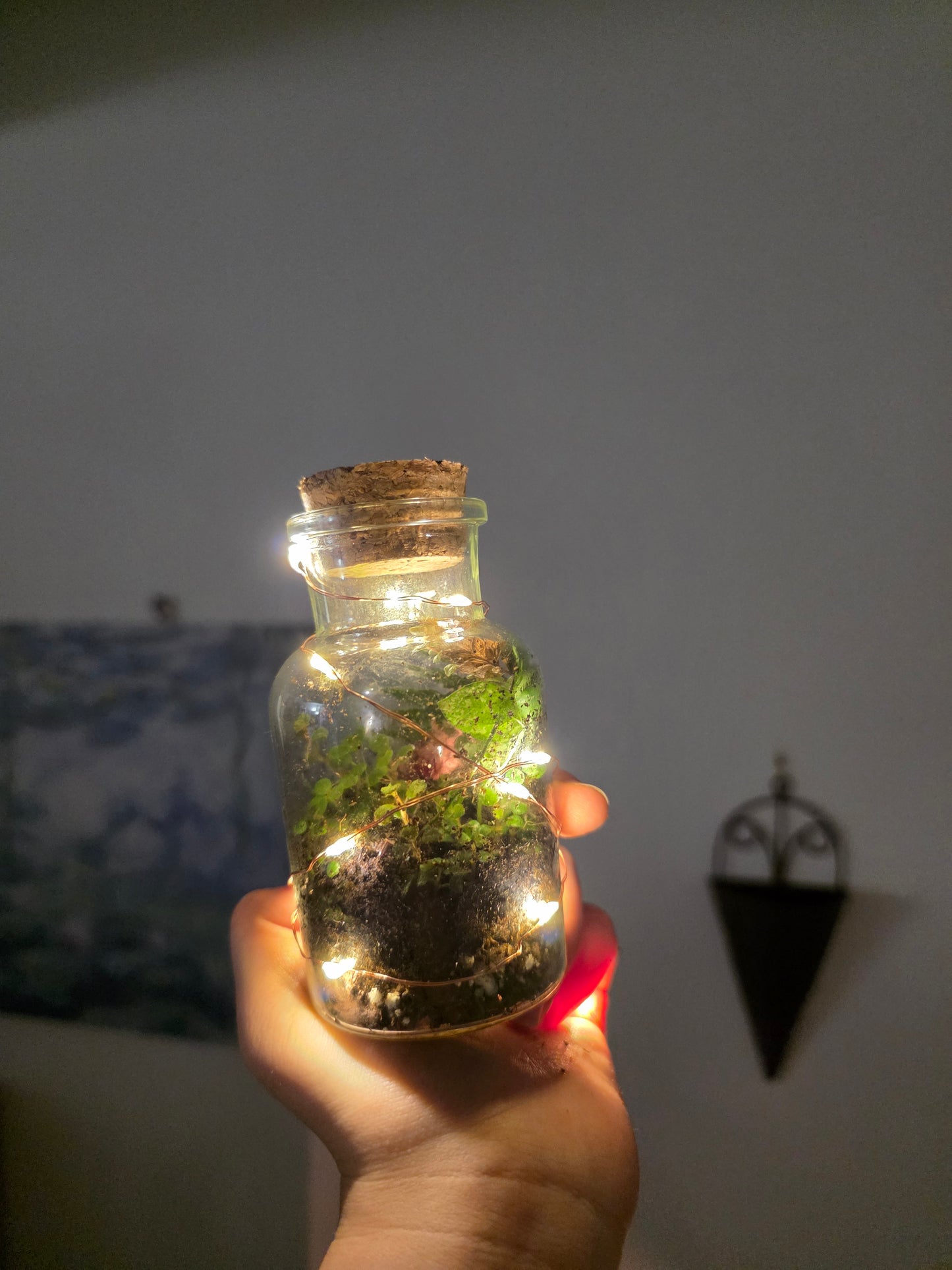 Fairy light