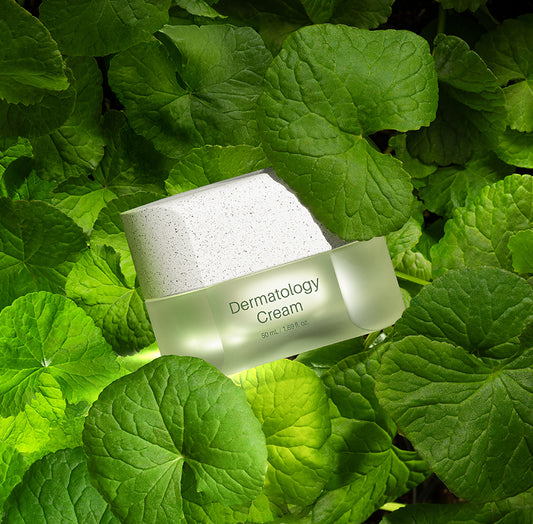 EX Line

Active Cream EX
