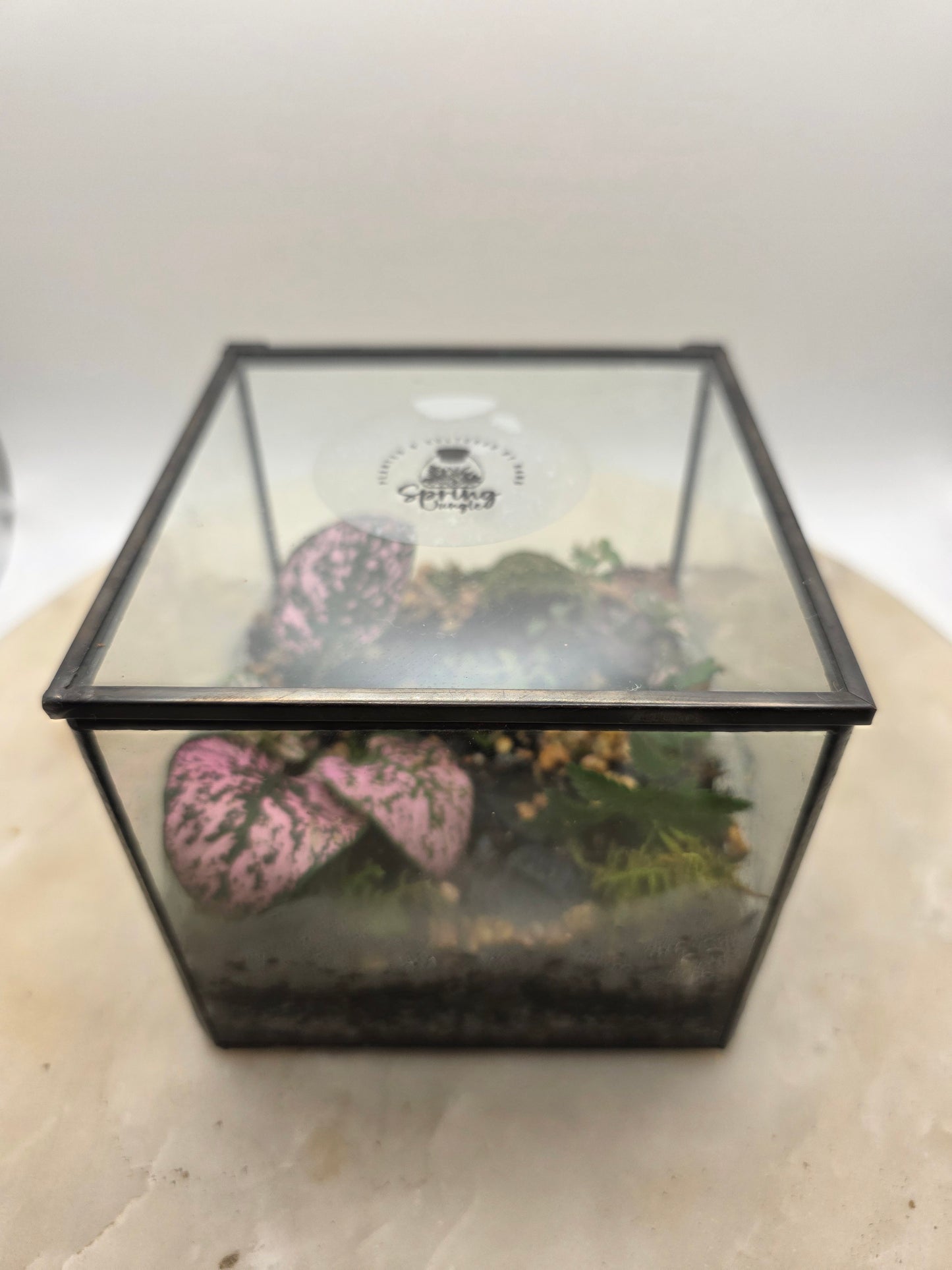 Rectangle Terrarium 4"