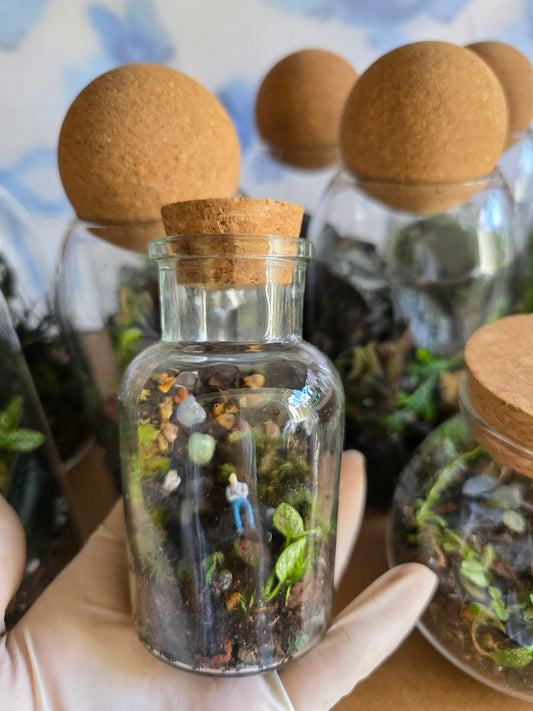 5 oz Terrarium