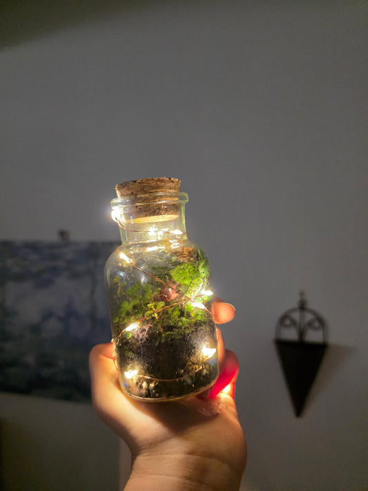 Fairy light