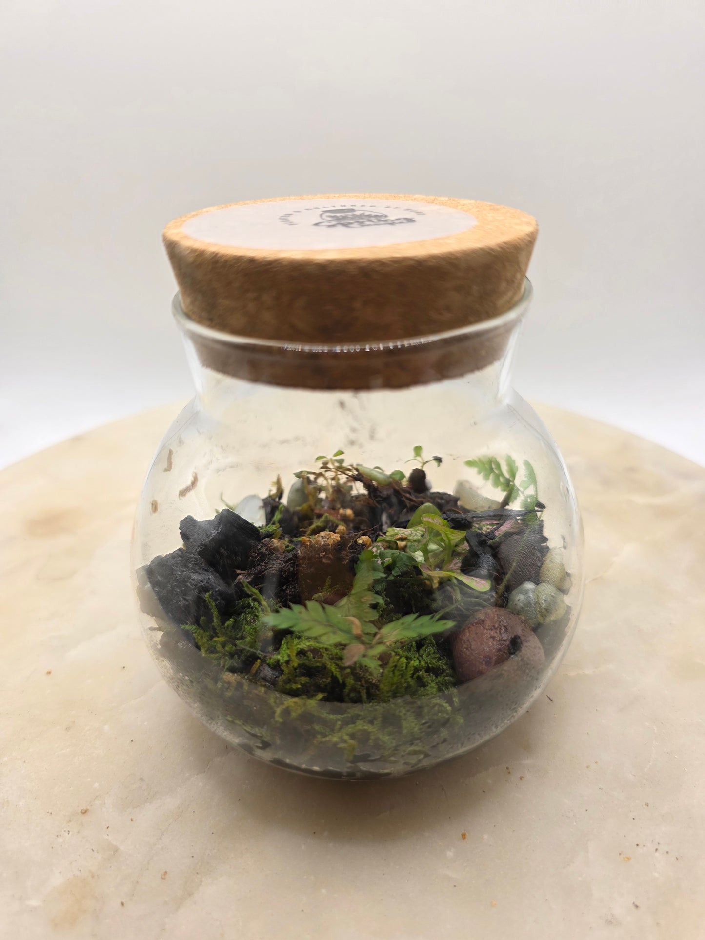 Round 17oz terrarium m