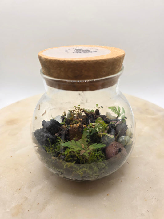 Round 17oz terrarium m