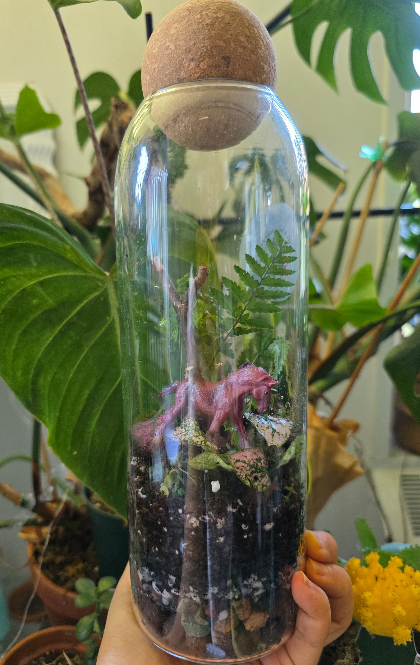 Succulent